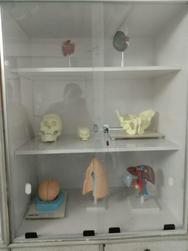 Indo Global Healthcare Institute College Activities photo 35